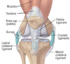 Patellar Tracking Disorder-Symptoms, Causes, Treatment and Prevention